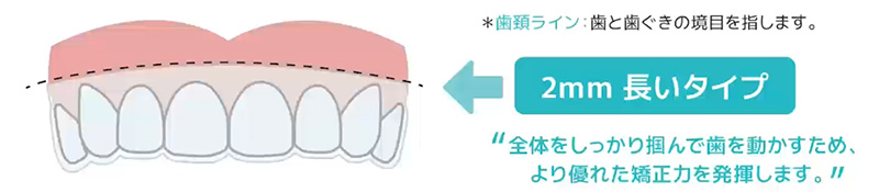 歯はなぜ動くの？