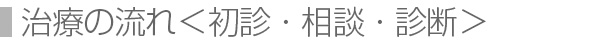 治療の流れ＜初診・相談・診断＞