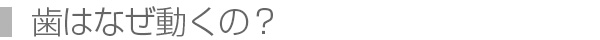 歯はなぜ動くの？